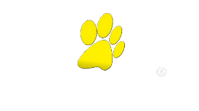 Lancaster Puppies